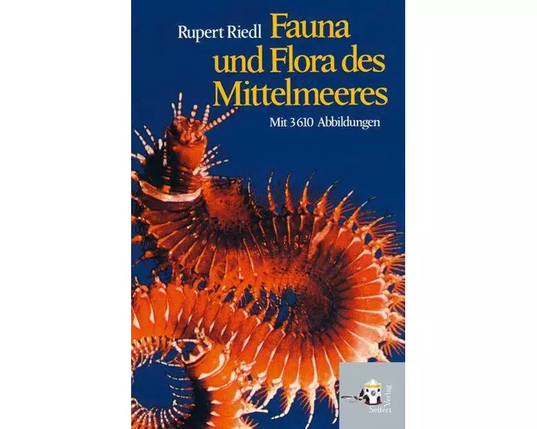 Fauna und Flora des Mittelmeeres