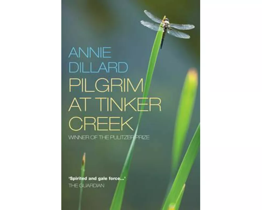 Pilgrim at Tinker Creek