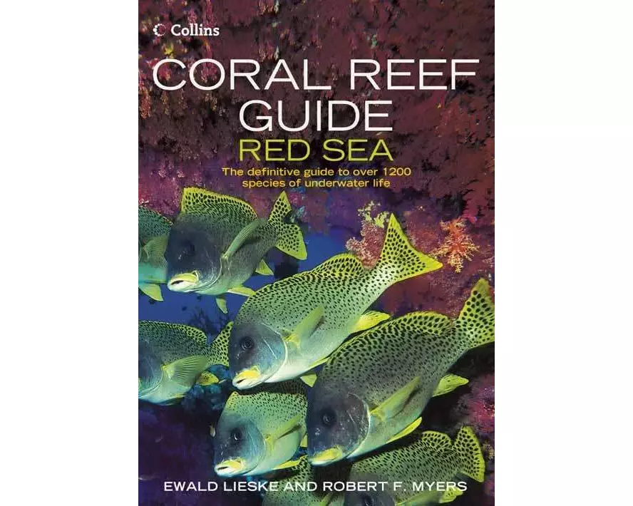 Coral Reef Guide Red Sea