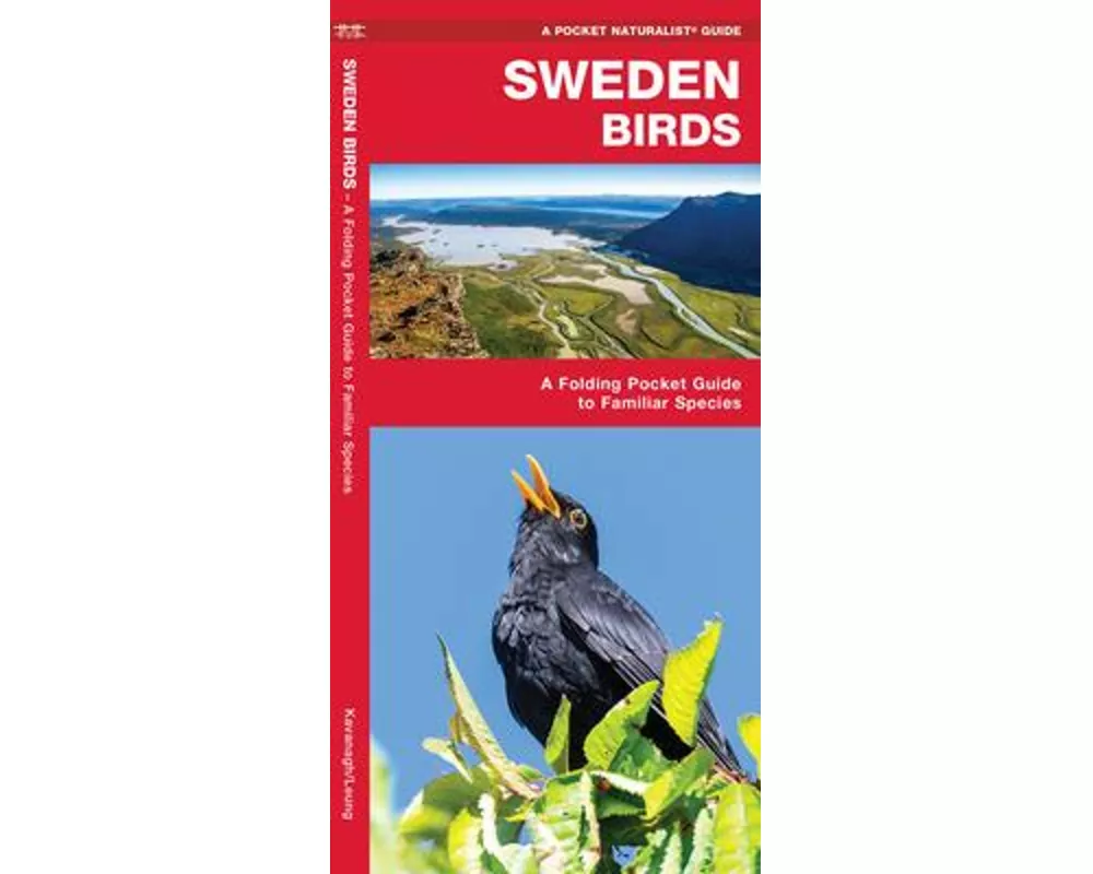 Sweden Birds