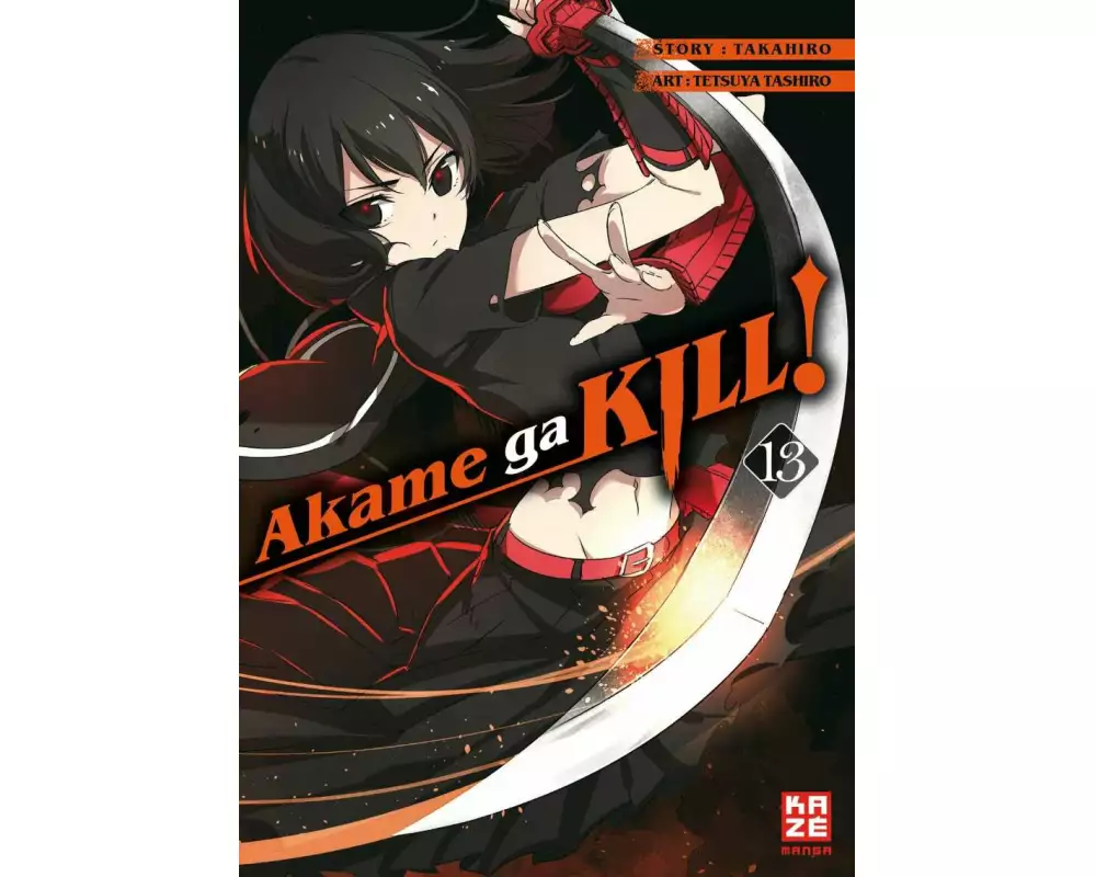 Akame ga KILL! 13