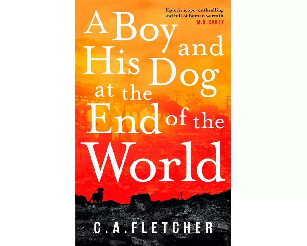 A Boy and his Dog at the End of the World