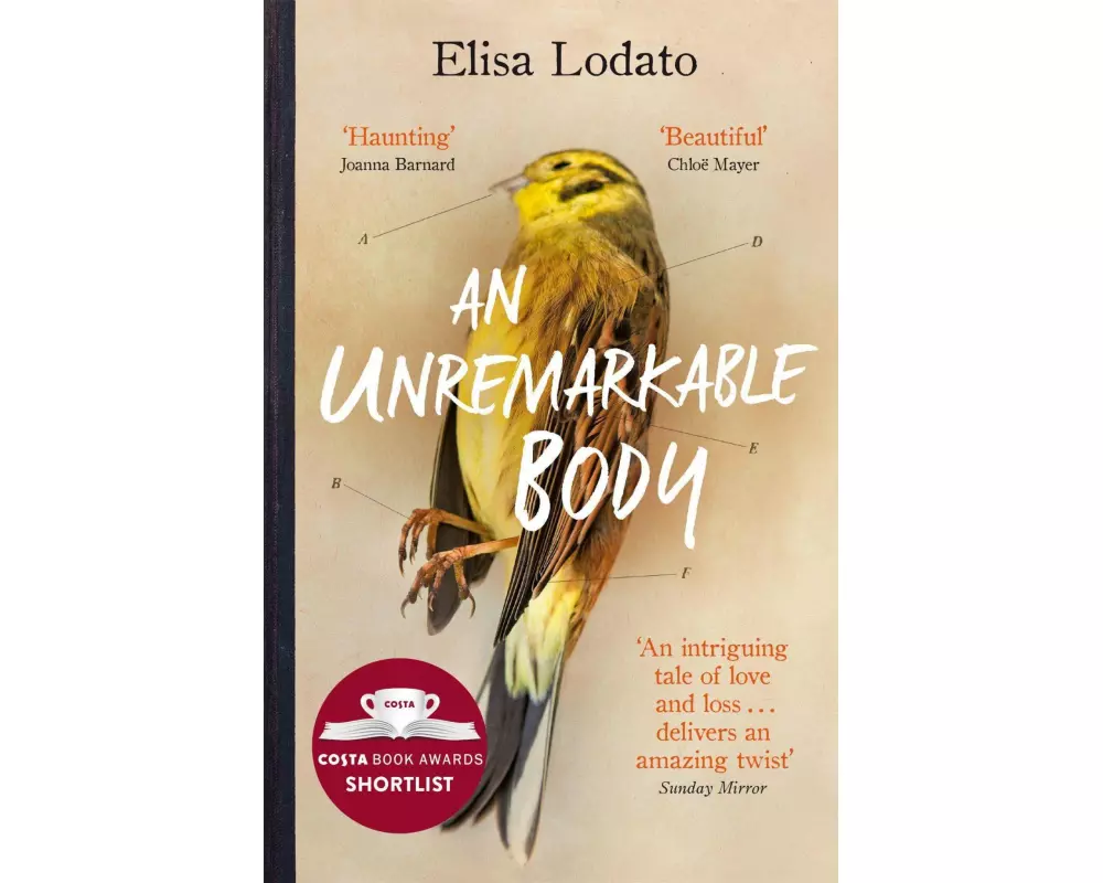 An Unremarkable Body