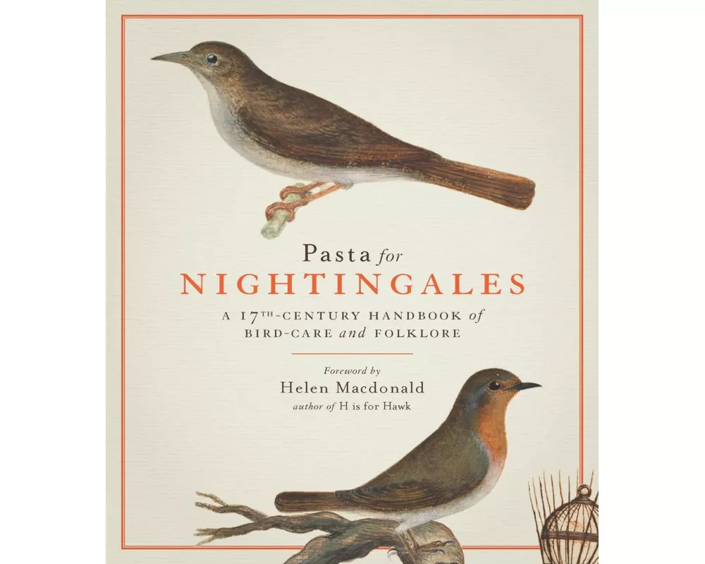 Pasta For Nightingales
