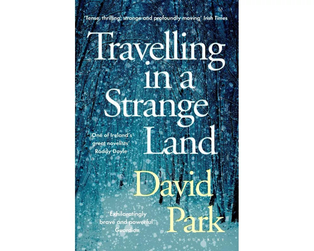 Travelling in a Strange Land