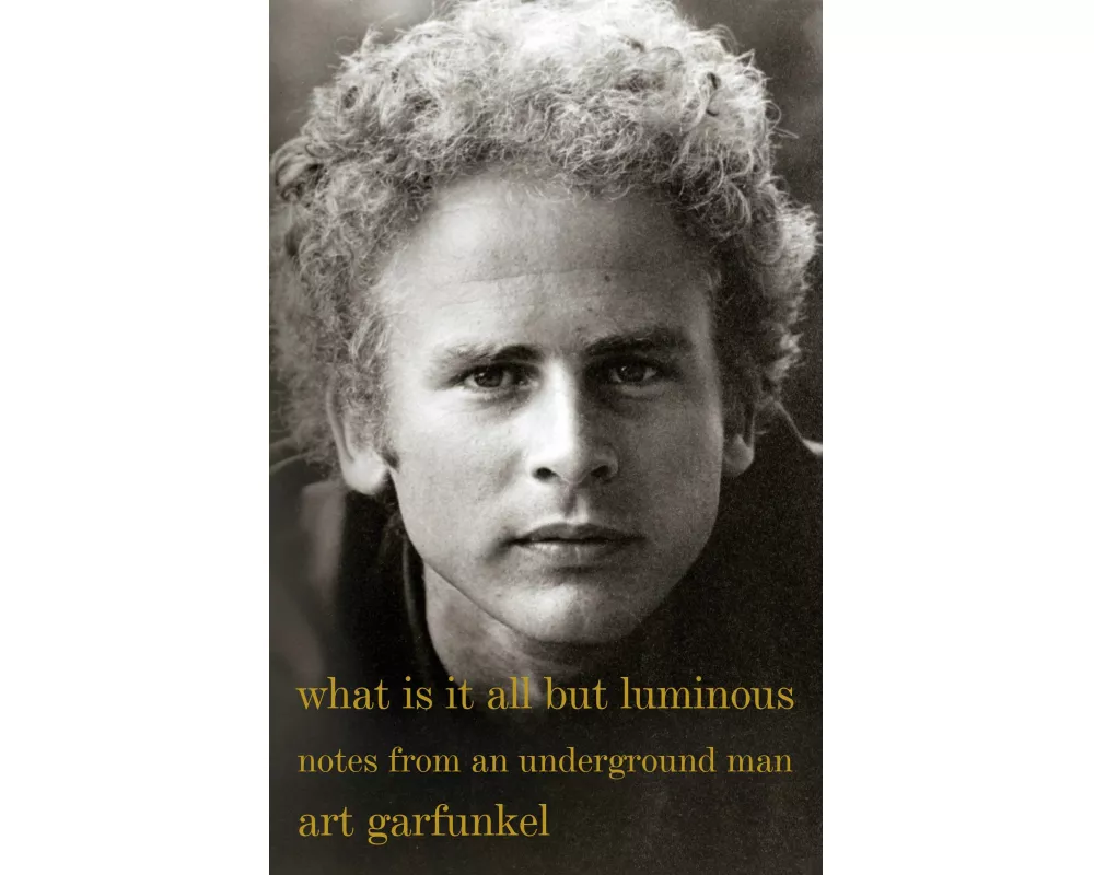 What Is It All But Luminous: Notes from an Underground Man