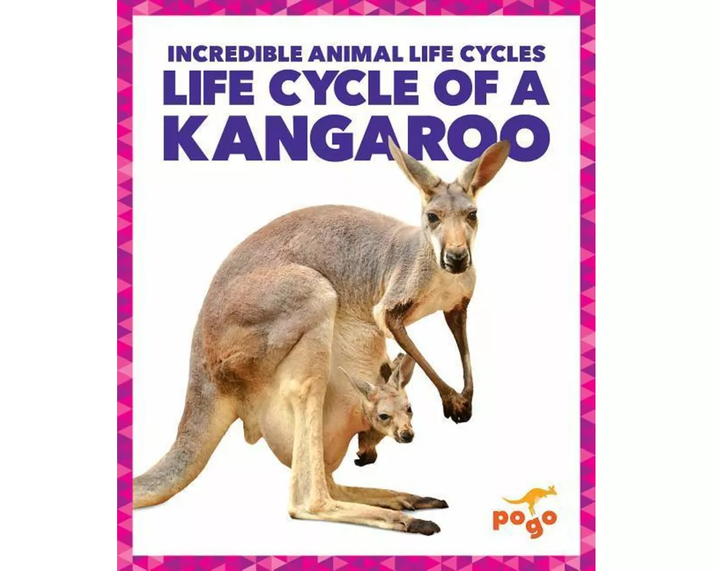 Life Cycle of a Kangaroo