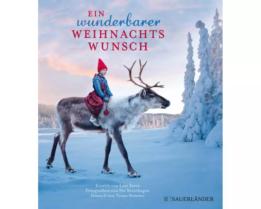 Ein wunderbarer Weihnachtswunsch Mini