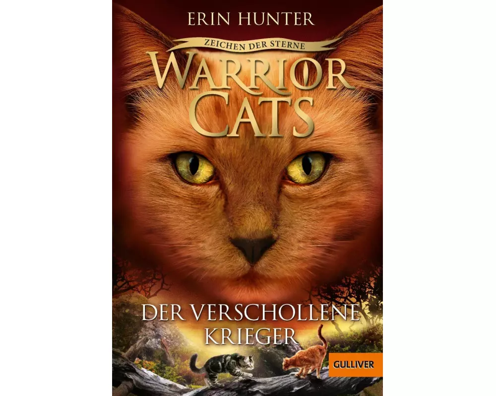 Warrior Cats - Zeichen der Sterne. Der verschollene Krieger