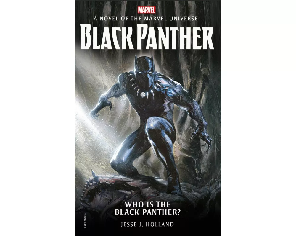 Who is the Black Panther?