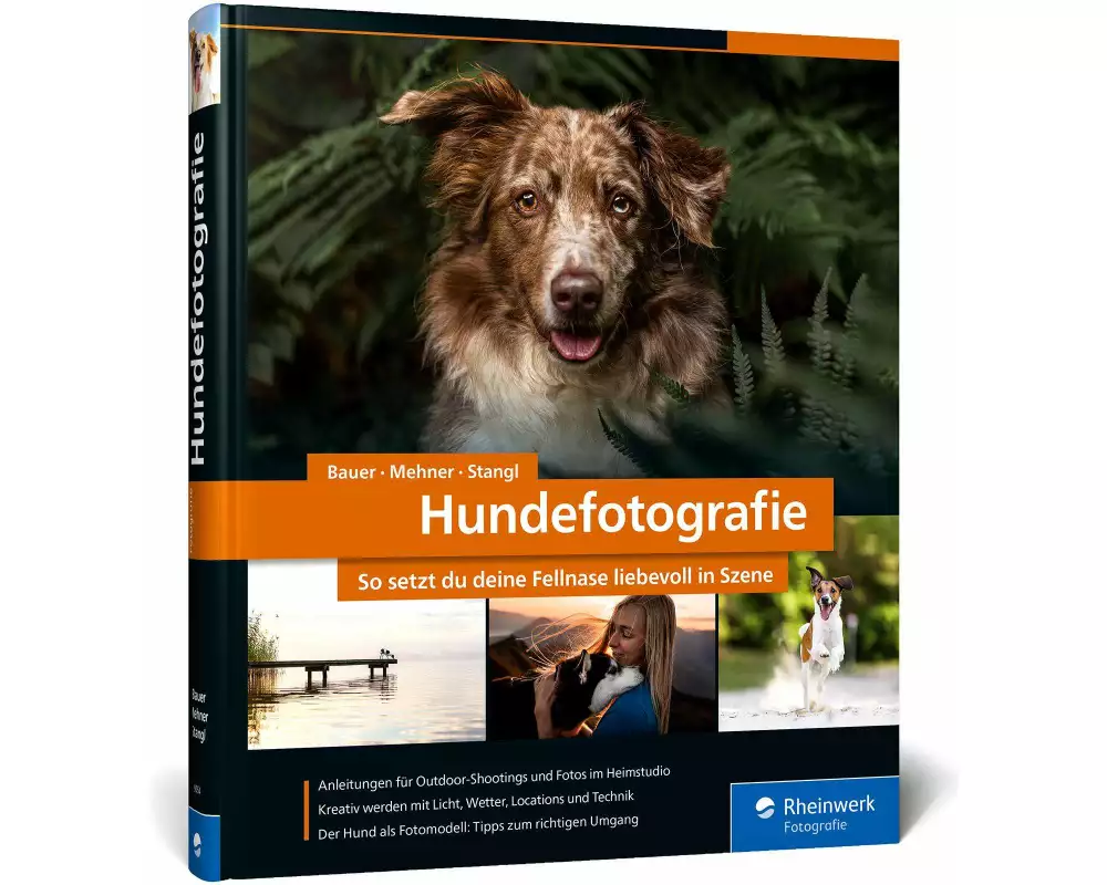 Hundefotografie