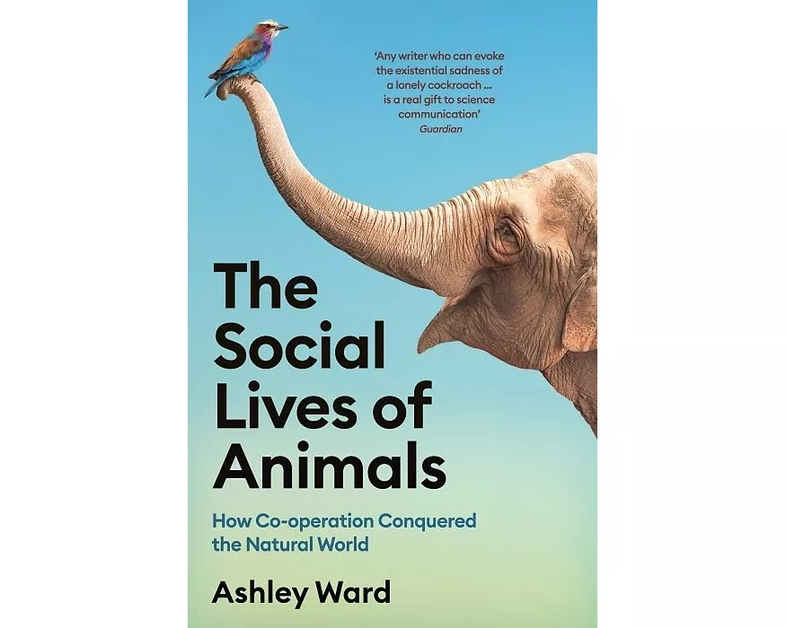 The Social Lives of Animals