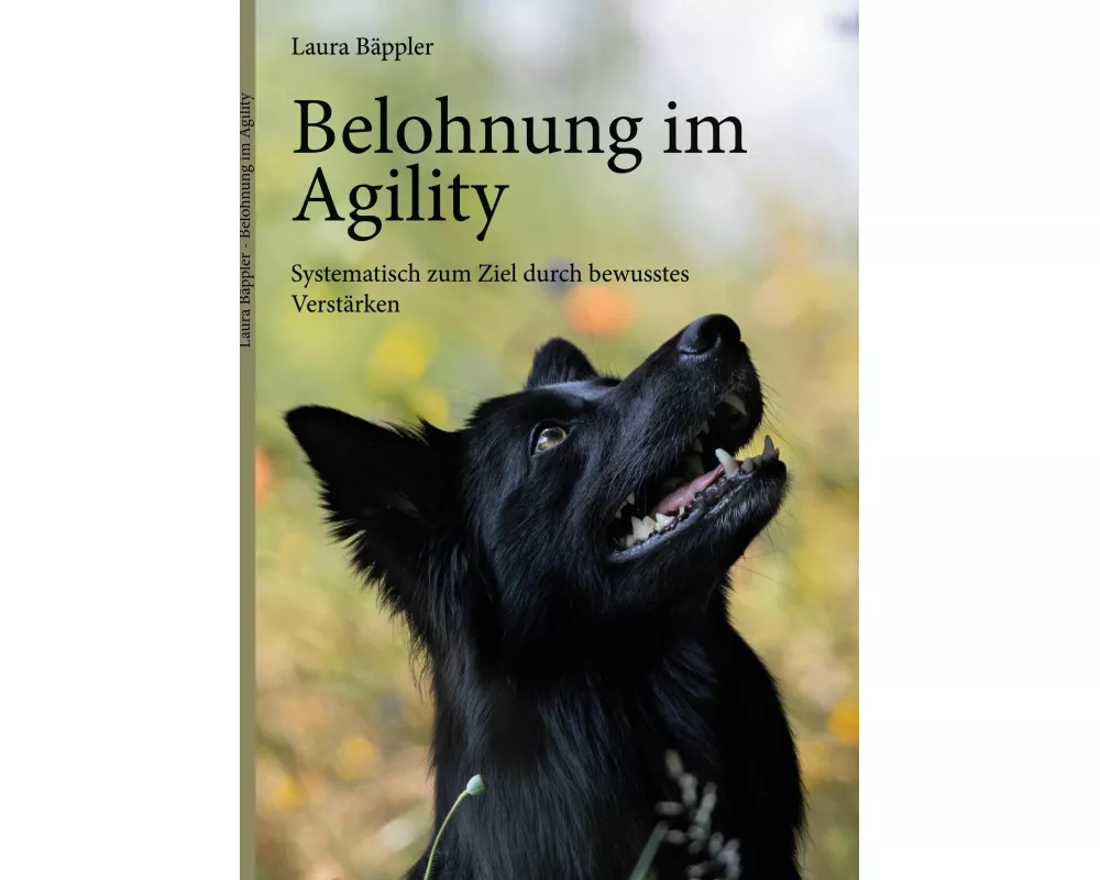 Belohnung im Agility