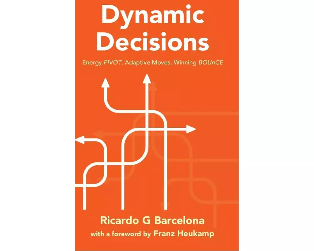 Dynamic Decisions