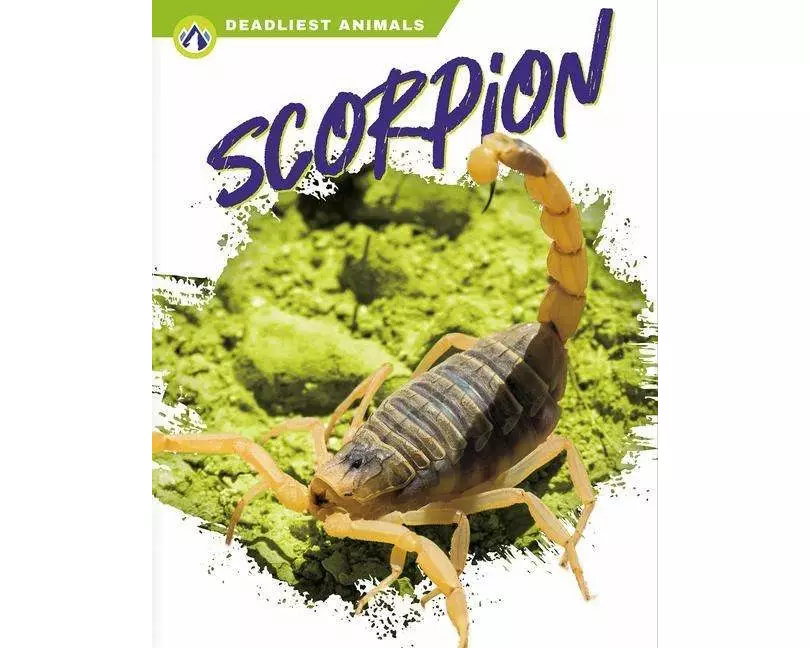 Scorpion