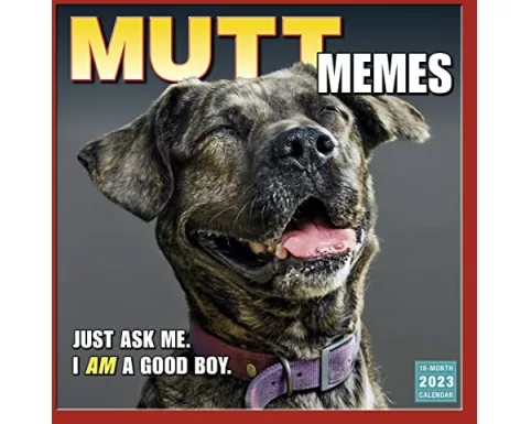 Mutt Memes