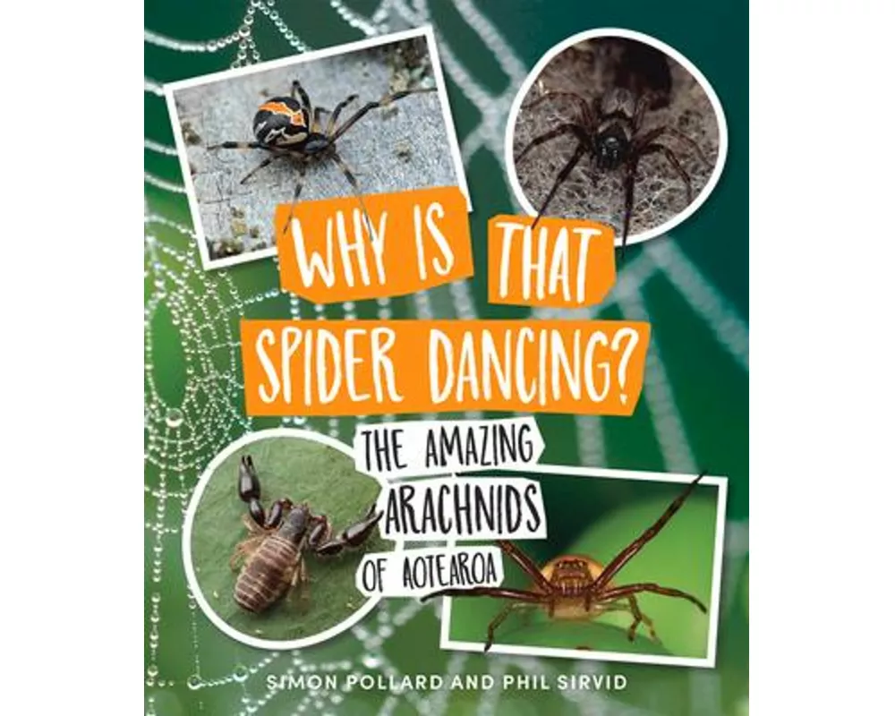 Why Is That Spider Dancing?