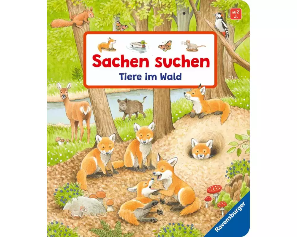 Sachen suchen - Tiere im Wald