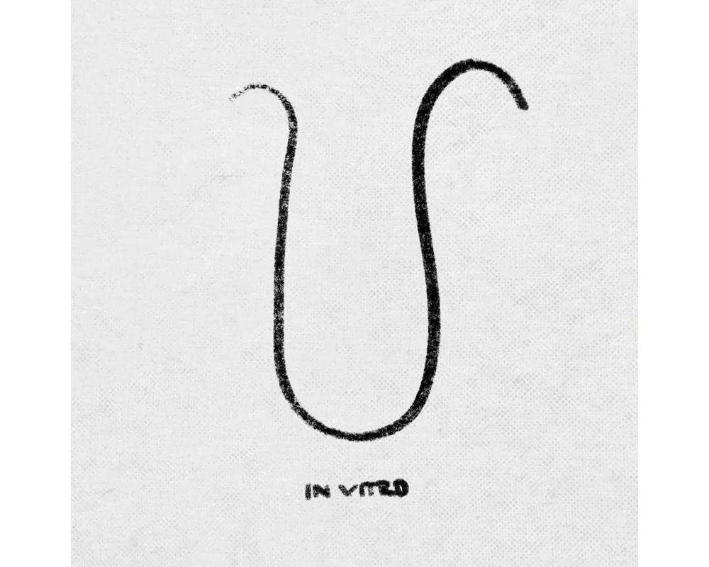 In Vitro