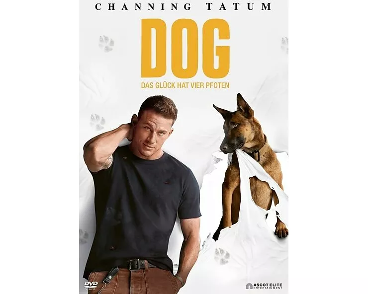 Dog - Das Glück hat vier Pfoten