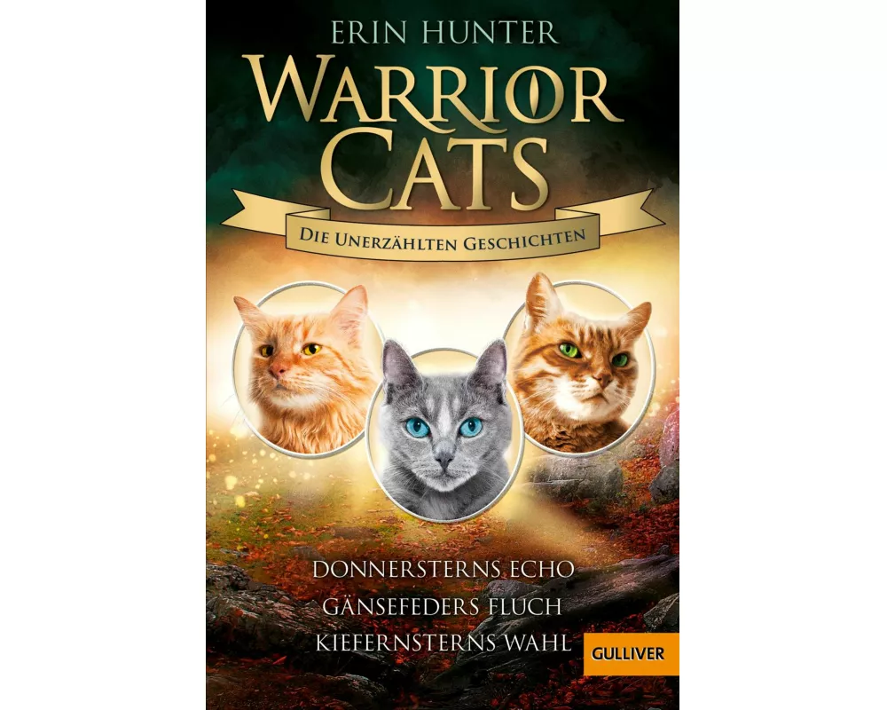 Warrior Cats - Die unerzählten Geschichten