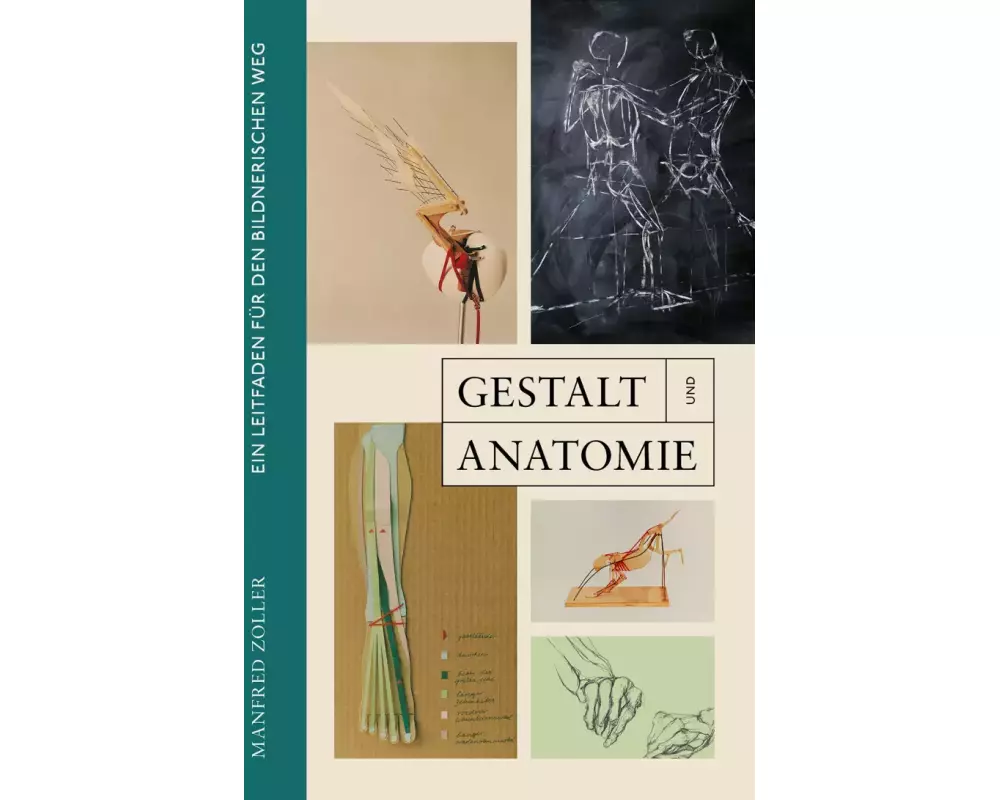 Gestalt und Anatomie