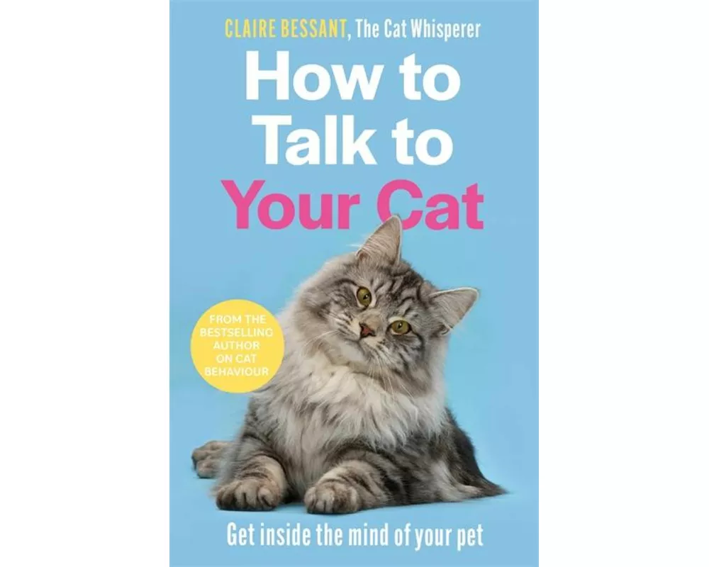 How to Talk to Your Cat