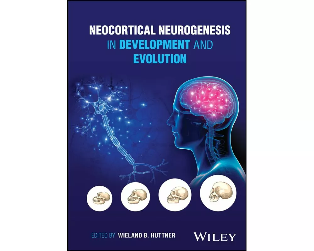 Neocortical Neurogenesis in Development and Evolution