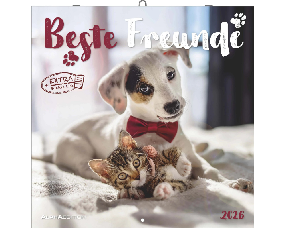 ALPHA EDITION Familienplaner 2026 160866 Beste Freunde ML 30x30cm