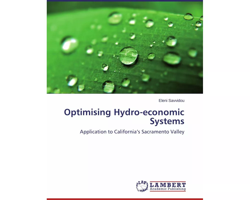 Optimising Hydro-economic Systems