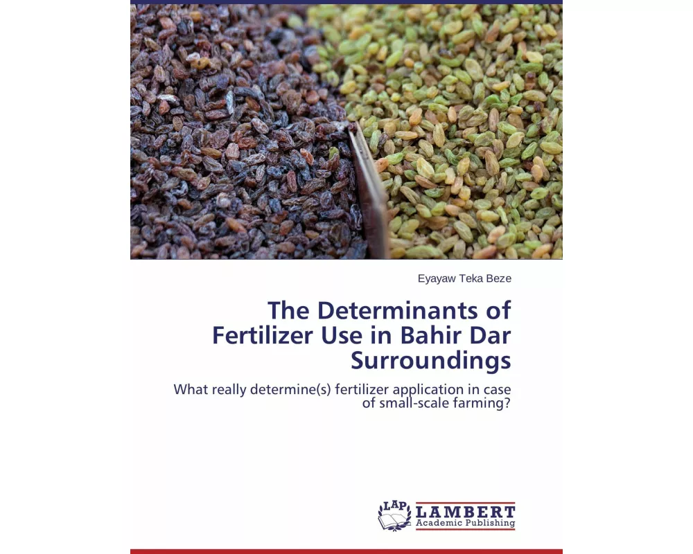 The Determinants of Fertilizer Use in Bahir Dar Surroundings