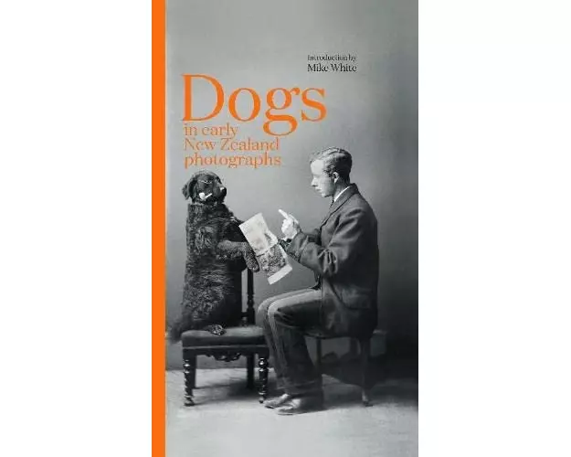 Dogs in early New Zealand photographs
