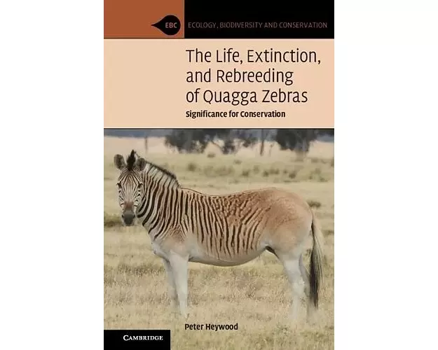 The Life, Extinction, and Rebreeding of Quagga Zebras