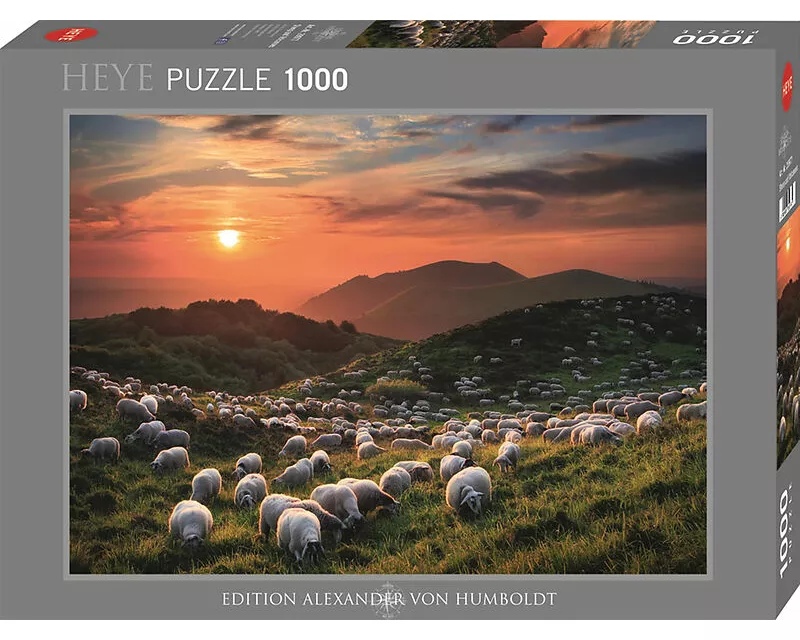 Sheep and Volcanoes Puzzle