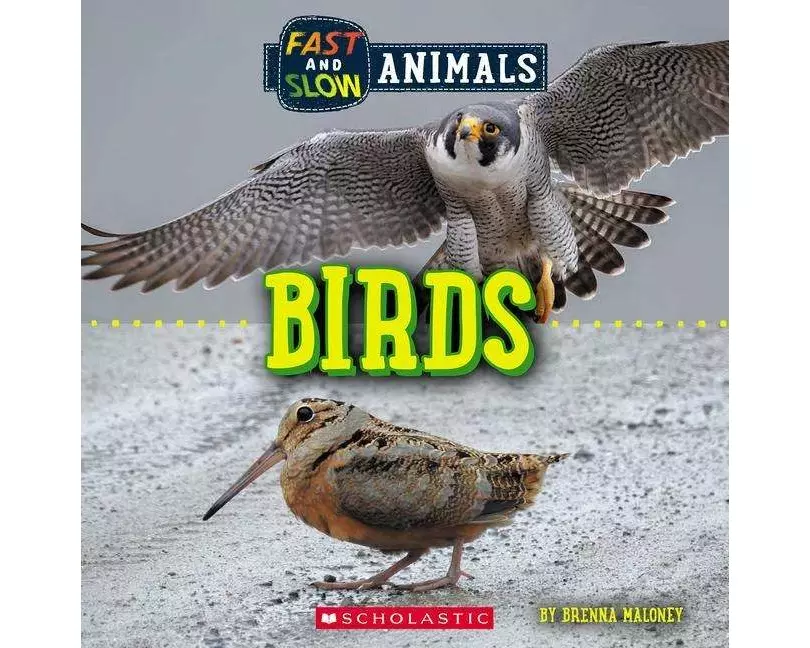 Birds (Wild World: Fast and Slow Animals)