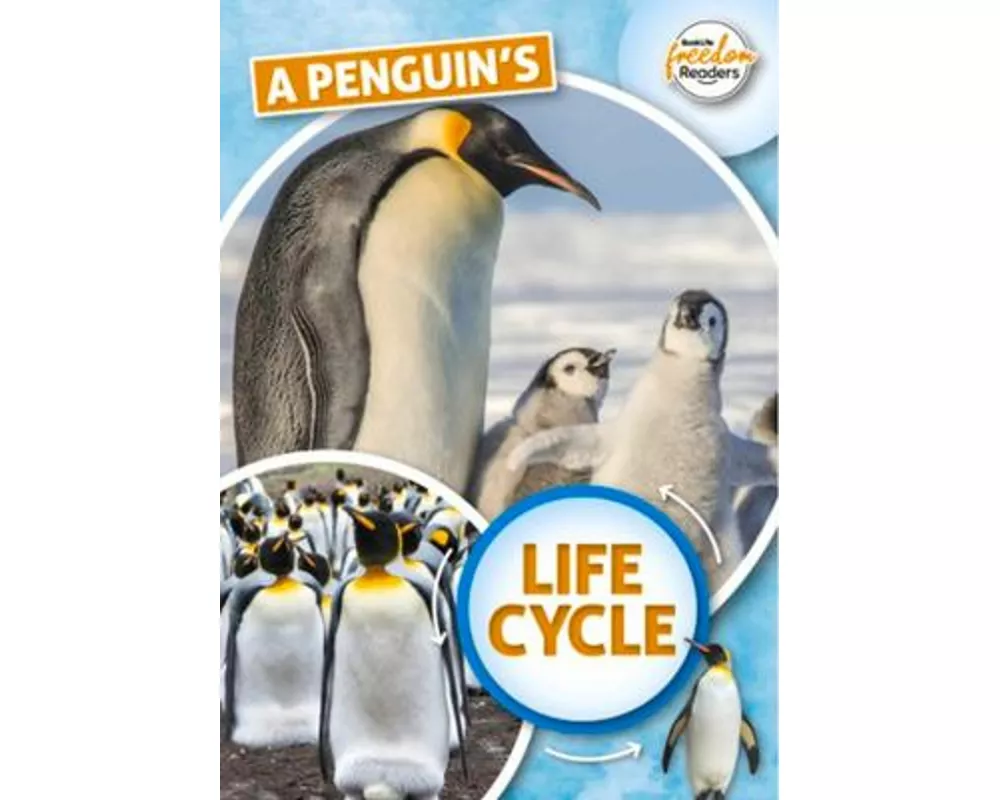 A Penguin's Life Cycle