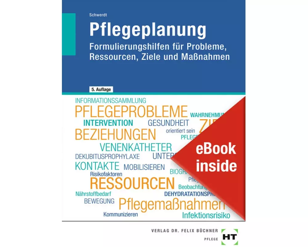 eBook inside: Buch und eBook Pflegeplanung
