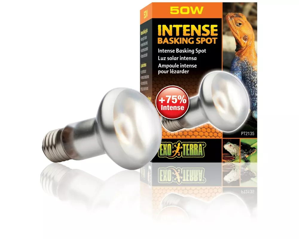 Exo Terra Terrarienlampe Intense Basking Spot E27, R20/50W
