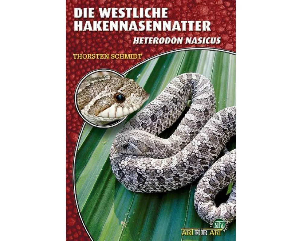 Die westliche Hakennasennatter