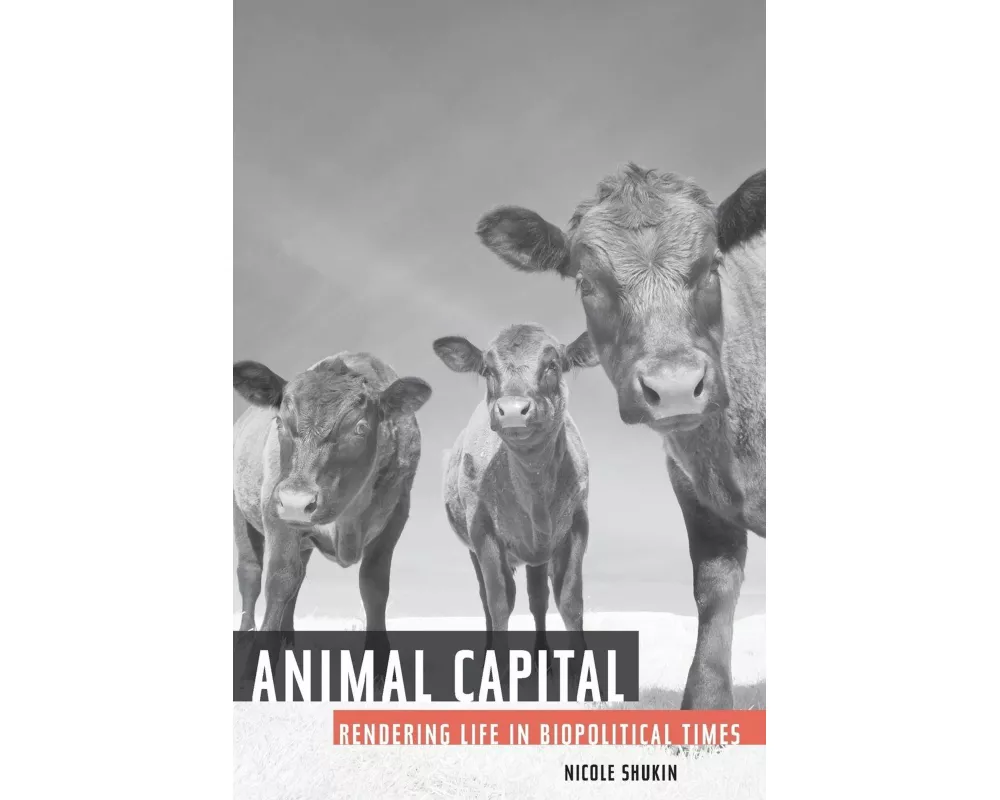 Animal Capital