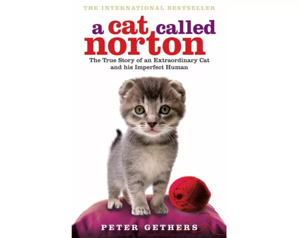 A Cat Called Norton