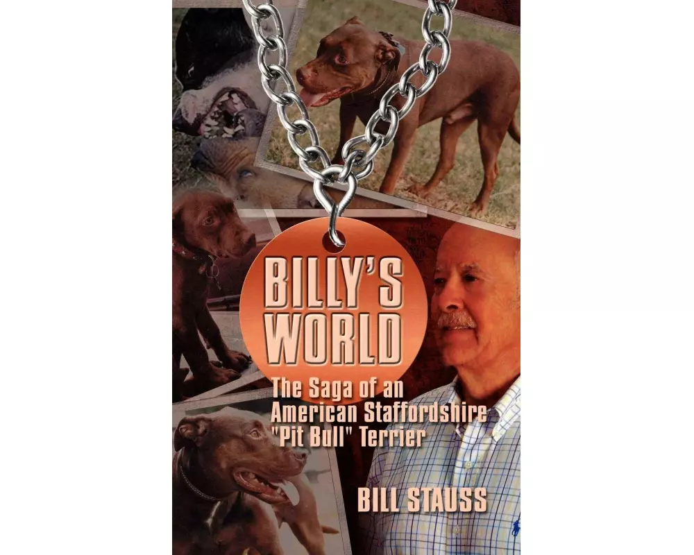 Billy's World