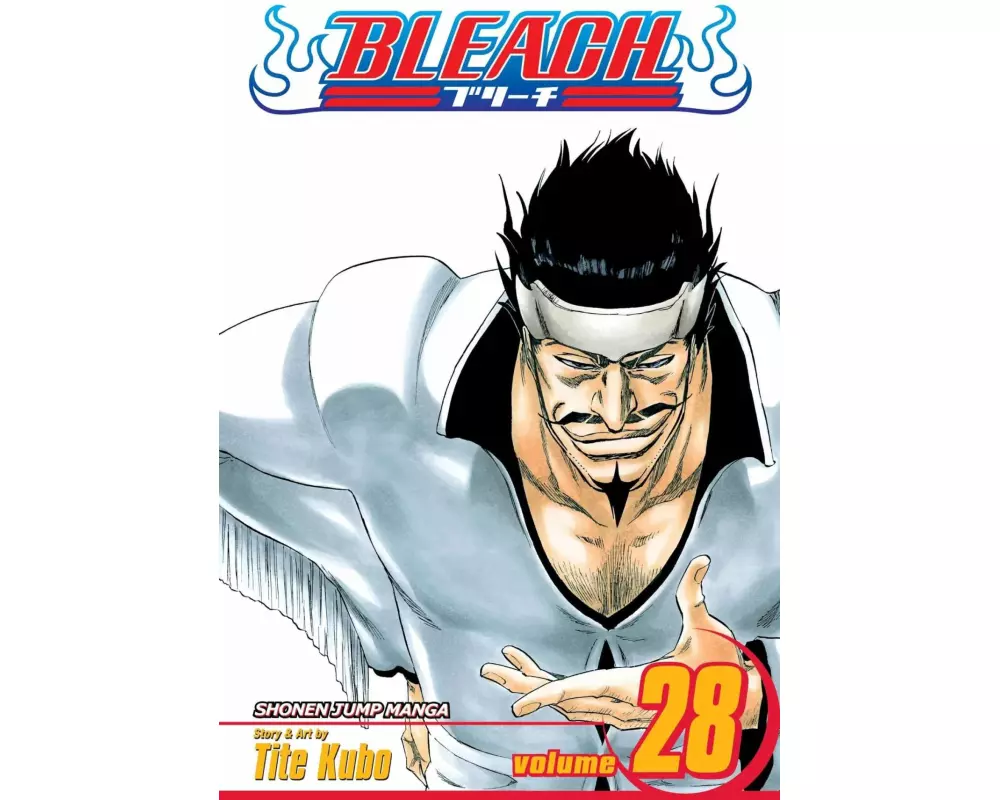 Bleach, Vol. 28