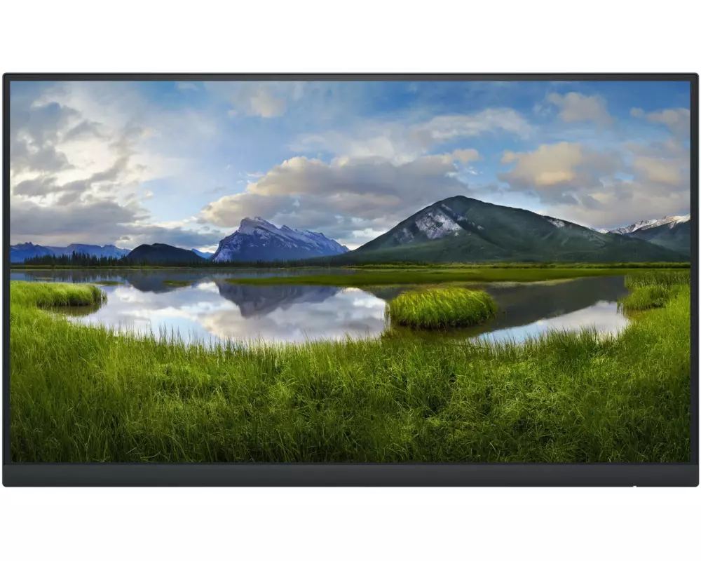 DELL Monitor P2222H ohne Standfuss