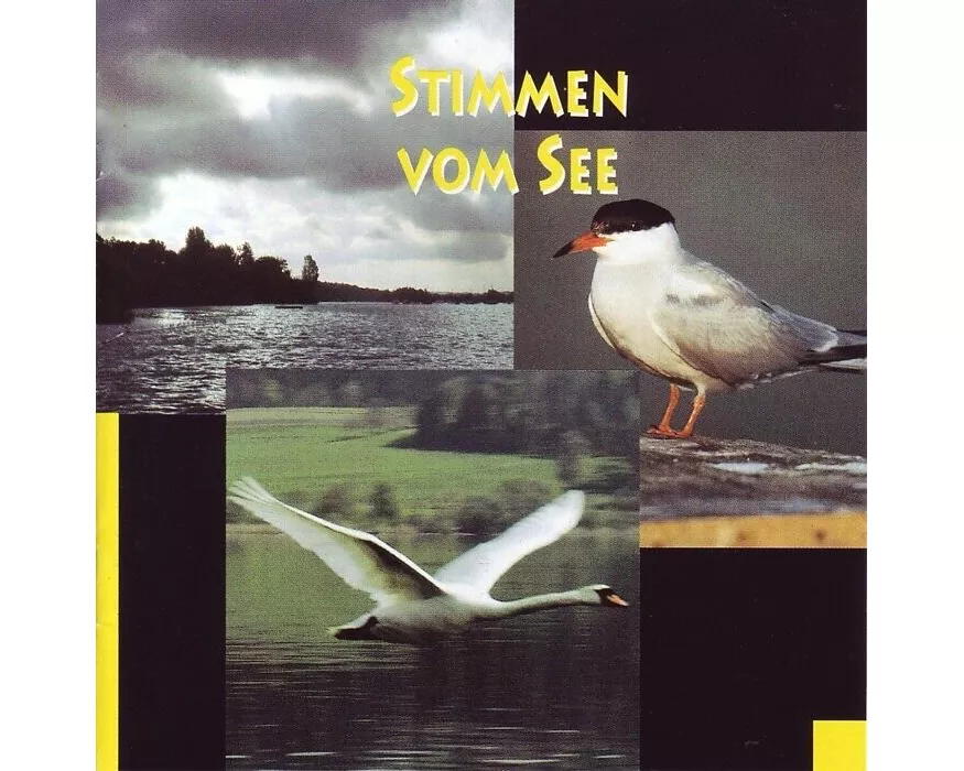 Stimmen vom See