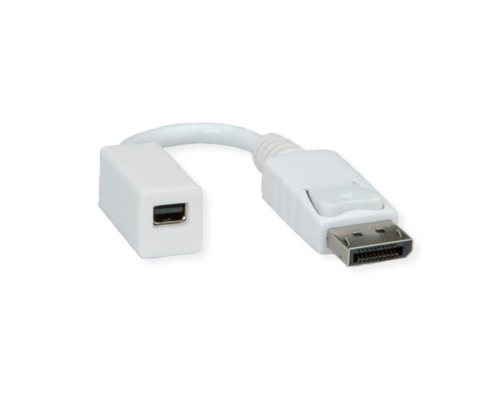ROLINE DisplayPort Adapter, DP Stecker - Mini DP Buchse