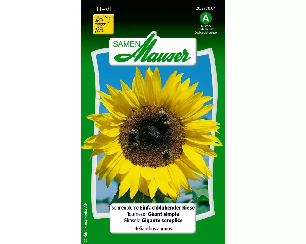 Samen Mauser Saatgut Sonnenblume Einfachblüh. Riese