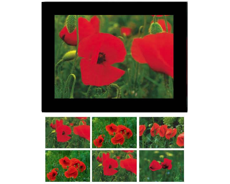 HASCHEMI Doppelkarten-Box 818 818 MOHNBLUMEN