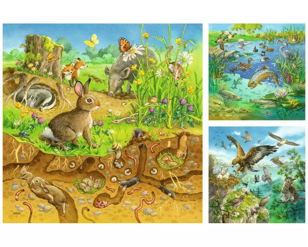Ravensburger Puzzle Tiere in ihren Lebensräumen 3 x 49 Teile