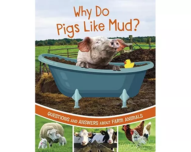 Why Do Pigs Like Mud?